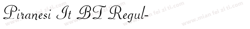 Piranesi It BT Regul字体转换